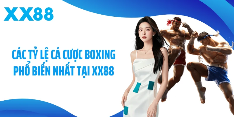 Các tỷ lệ cá cược Boxing phổ biến nhất tại XX88