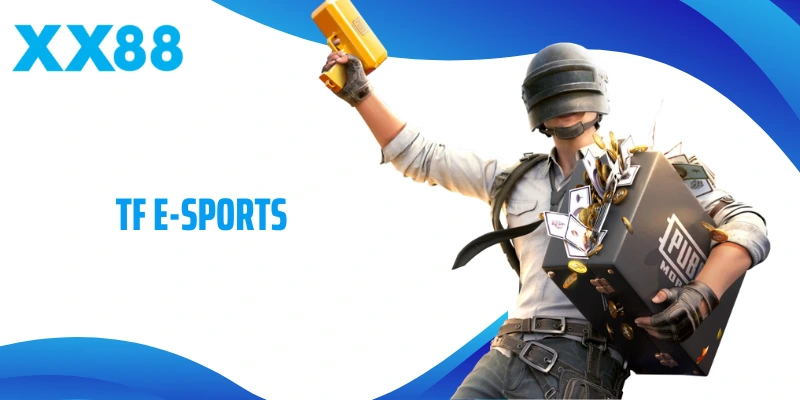 TF E-Sports Và Hành Trình Chinh Phục Sảnh Thể Thao Điện Tử Đỉnh Cao